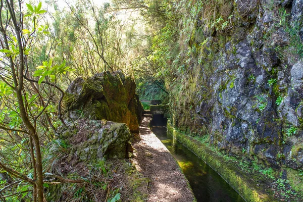 在马德拉岛上米拉杜罗附近的Levada Norte 利夫达斯是岛上特有的灌溉渠道 — 图库照片