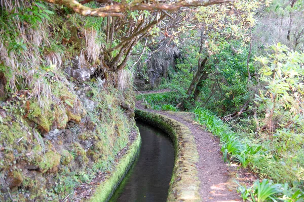 Levada Norte Nära Miradouro Madeira Leavdas Specifika Bevattningskanaler För — Stockfoto