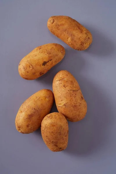 Fünf Bauernhof Frische Rohe Ganze Kartoffeln Liegen Zufällig Auf Einem — Stockfoto
