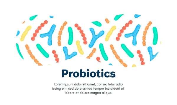 Pochodzenie Wektorowe Probiotyków Bifidobakterium Lactobacillus Streptococcus Thermophilus Lactococcus Propionibacterium Szablon — Zdjęcie stockowe