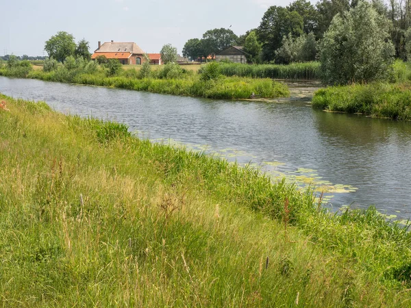 Rzeka Zielona Trawa Wsi — Zdjęcie stockowe