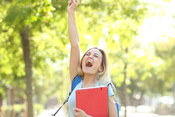 Estudante Animado Está Comemorando Sucesso Levantando Braço Parque — Fotografia de Stock