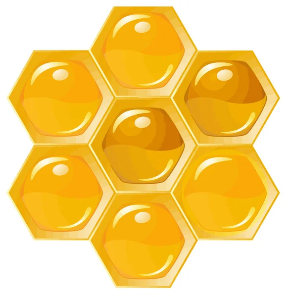 Honey Bee Vectorillustratie — Stockfoto