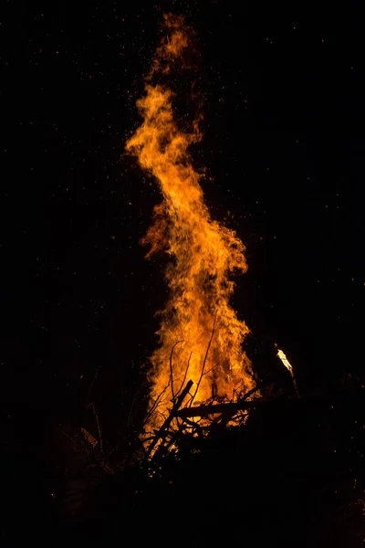 Płonące Ognisko Lesie — Zdjęcie stockowe