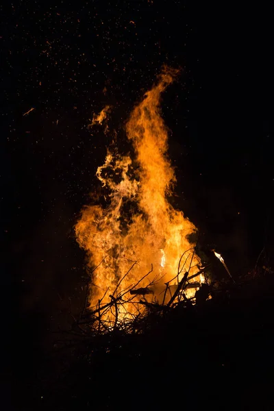 Fuego Ardiente Bosque —  Fotos de Stock
