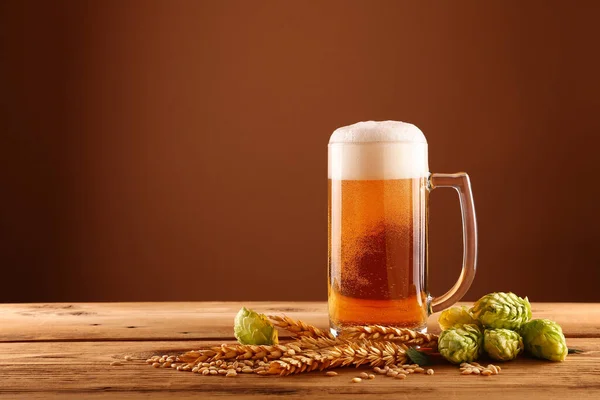 Nahaufnahme Eines Gläsernen Bierkruges Mit Schaum Und Blasen Grünem Hopfen — Stockfoto