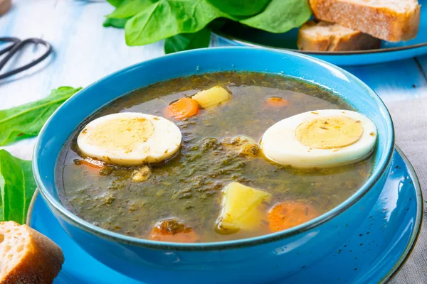 Sorrel Sup Dengan Kentang Dan Telur — Stok Foto