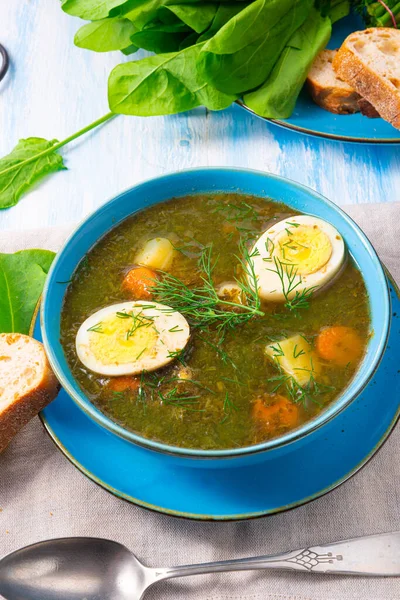 Sorrel Sup Dengan Kentang Dan Telur — Stok Foto