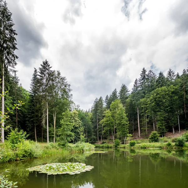 Lago Montagna Con Abeti Montagne Boscose Contro Cielo Nuvoloso — Foto Stock