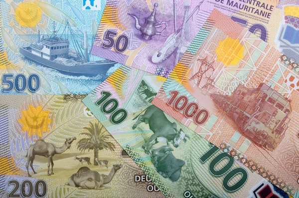 Peníze Mauritánie Obchodní Zázemí — Stock fotografie