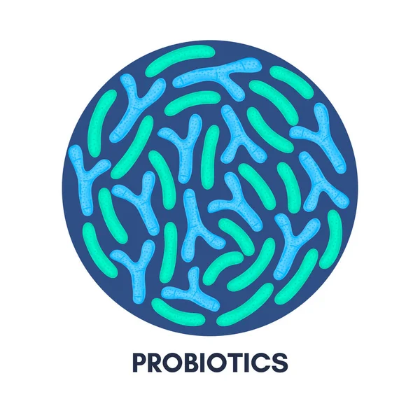 Probiotyki Wektorowe Okrągłym Kształcie Bifidobakterium Lactobacillus Bakterie Kwasu Mlekowego Medycyna — Zdjęcie stockowe