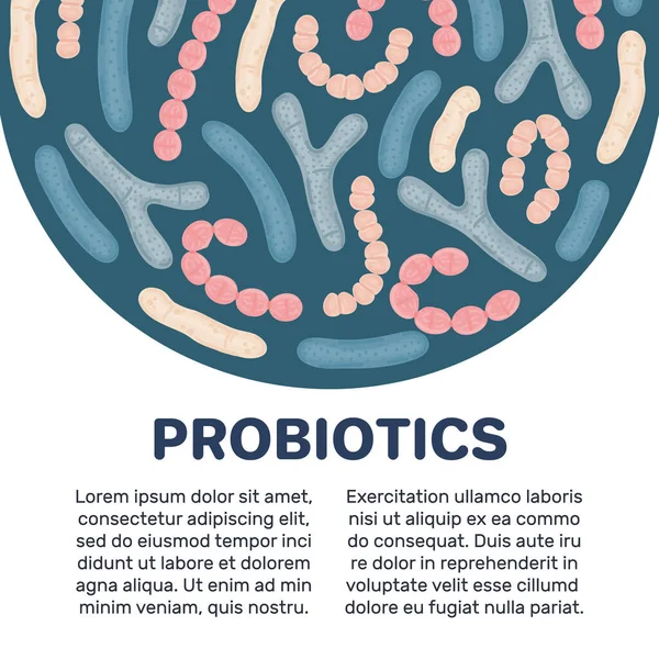 Tło Wektorowe Probiotykami Kształcie Półkolistym Bifidobakterium Lactobacillus Streptococcus Thermophilus Lactococcus — Zdjęcie stockowe