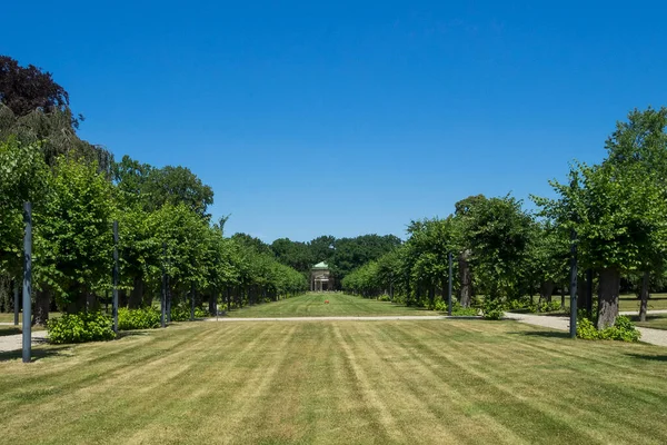 Germania Hannover Orto Botanico Nel Giardino Herrenhausen — Foto Stock