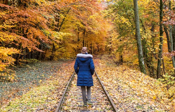 Νεαρές Γυναίκες Περπατούν Μόνες Τους Πολύχρωμο Φθινόπωρο Δάσος Μια Παλιά — Φωτογραφία Αρχείου