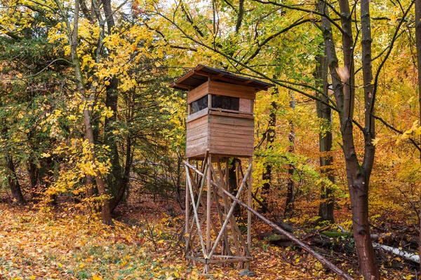 Raised blind in a autumn forest for hunting.