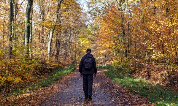 Hombre Negro Caminando Solo Colorido Bosque Otoñal — Foto de Stock