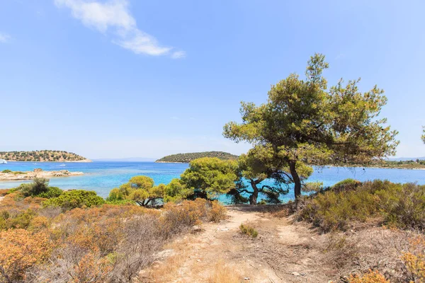Summer Nature Landscape Beautiful Seascape Coast Sithonia Halkidiki Greece Popular — Stock Photo, Image
