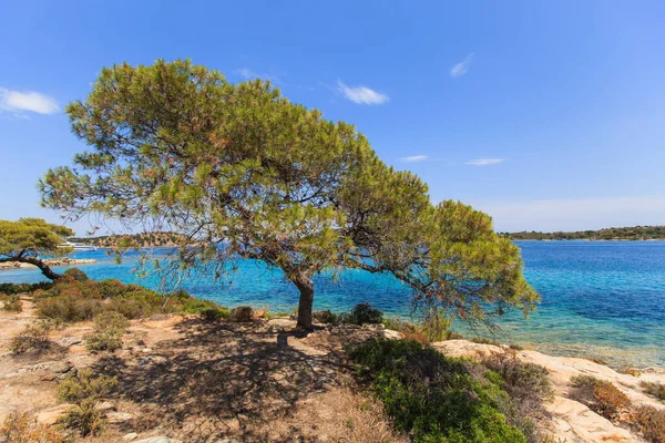 Hermosa Vista Del Paisaje Marino Verano Costa Sithonia Halkidiki Grecia — Foto de Stock