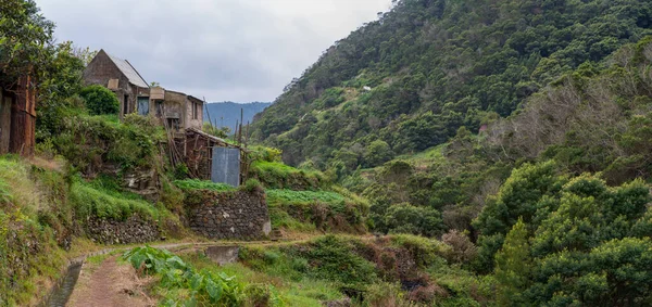 Levada Canical Perto Machico Ilha Madeira Folhas São Canais Irrigação — Fotografia de Stock