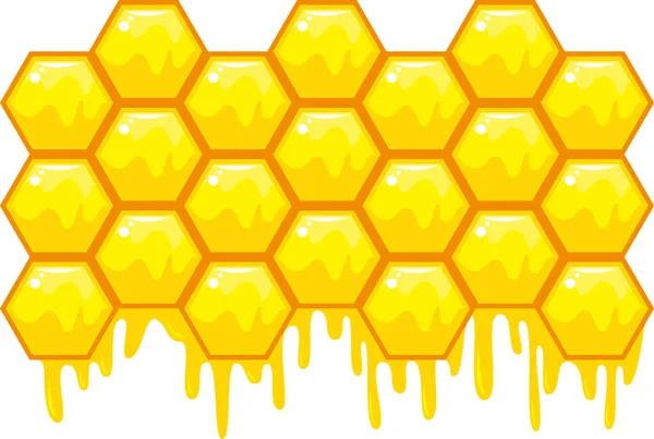 Včelí Plástve Včelí Jídlo Med Snídaně Přírodní Ilustrace — Stock fotografie