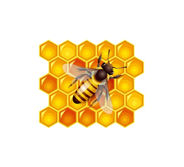 Ule Plaster Miodu Pszczoła Jedzenie Miód Naturalny Żółty Ilustracja — Zdjęcie stockowe