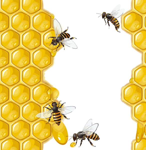蜂窝蜂食黄蜜天然图解 — 图库照片