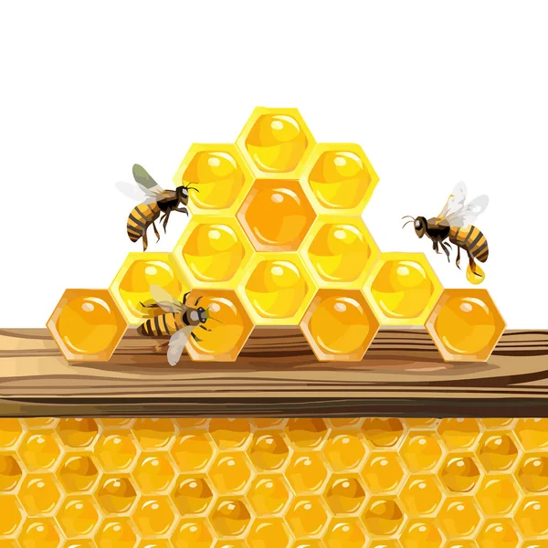 Colmena Panal Abeja Alimentos Miel Natural Ilustración Dulce — Foto de Stock