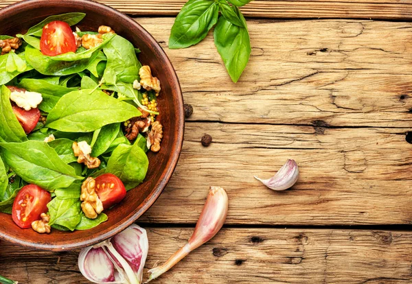 Sommar Sallad Med Fräsch Grön Sallad Med Spenat Och Ängssyra — Stockfoto