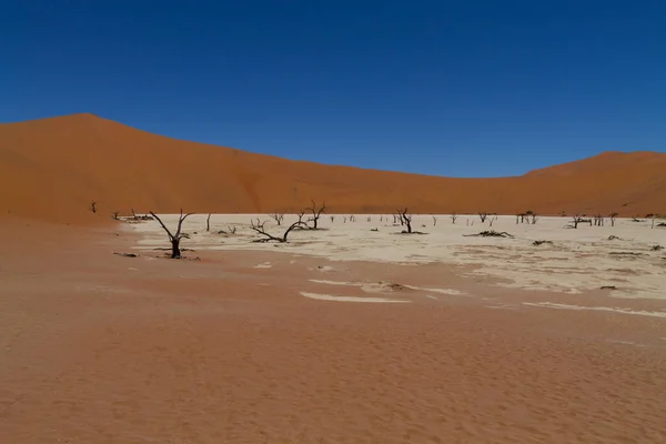 Gyönyörű Táj Namib Sivatag Szahara Nemzeti Park Namíbia — Stock Fotó