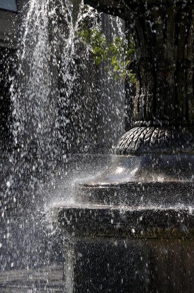 Fontaine Dans Parc — Photo