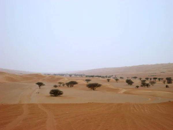 Medio Oriente Oman Paesaggi Desertici Wahiba Sands — Foto Stock