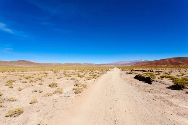 Camino Desierto — Foto de Stock