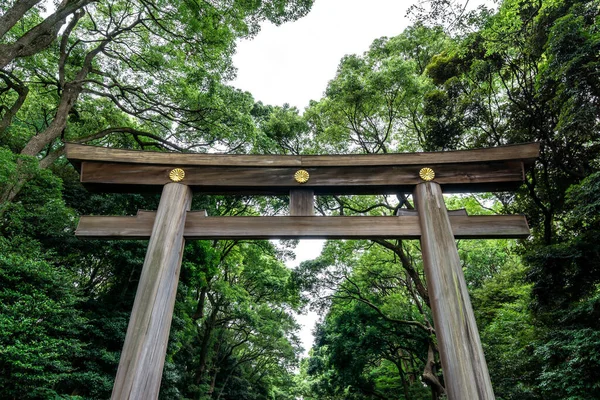 Крупним Планом Вид Першого Воріт Torii Ведуть Мейдзі Джиґу Токіо — стокове фото