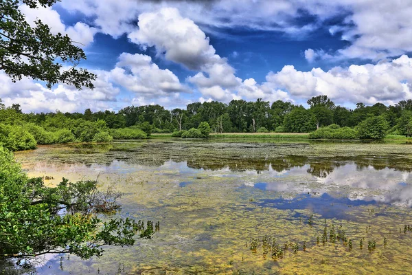 Weingartener沼泽地自然保护区 — 图库照片