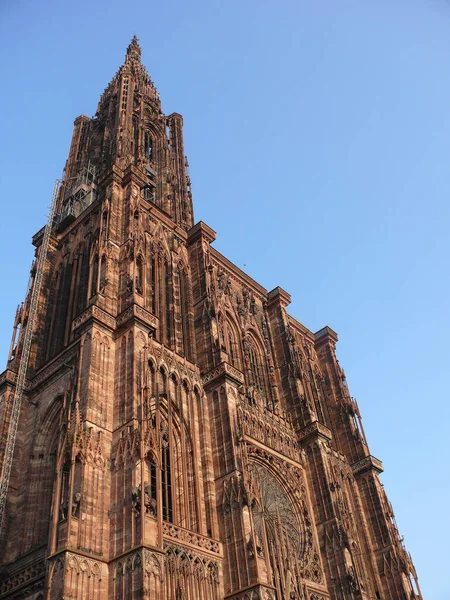 Cathédrale Église Gothique Dans Ville Barcelone — Photo