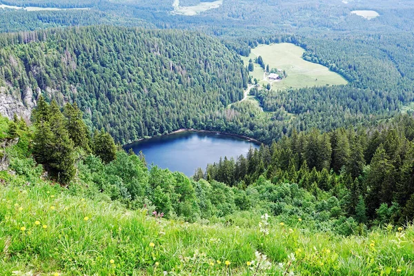 Feldsee Aos Pés Feldberg Floresta Negra Sul — Fotografia de Stock