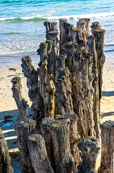 Cölöpök Hullámtörő Saint Malo Strand Bretagne Ban Franciaországban — Stock Fotó