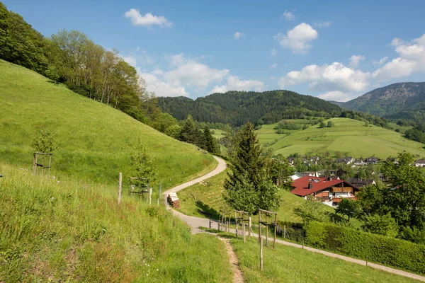 Blick Von Oben Auf Einen Teil Des Kleinen Ortes Münstertal — Stockfoto