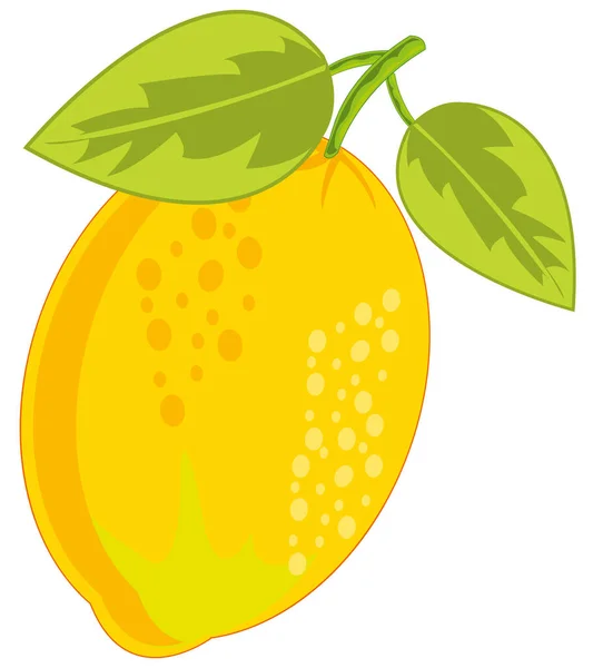 Векторна Ілюстрація Стиглого Фруктового Лимона Листям — стокове фото