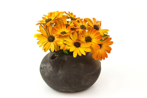 Schöner Strauß Sonnenblumen Einer Vase Auf Weißem Hintergrund — Stockfoto