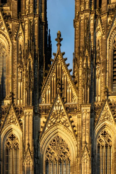 Kathedraal Van Vitus Duitsland — Stockfoto