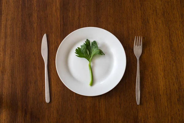 ダイエットコンセプト 空の白いプレートの上に1つの緑の野菜 木製のテーブルの上にセロリ健康的なトップビュー — ストック写真