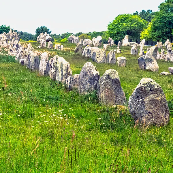 Alignements Carnac Carnac Stones Carnac France — Stock Photo, Image