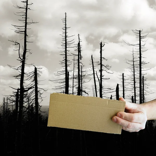 Man Holding Wooden Sign Background Tree — Stock Photo, Image