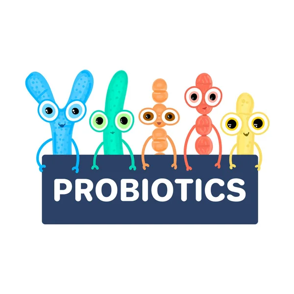 Probiotyki Bakterie Kwasu Mlekowego Bifidobakterium Lactobacillus Streptococcus Thermophilus Lactococcus Propionibacterium — Zdjęcie stockowe