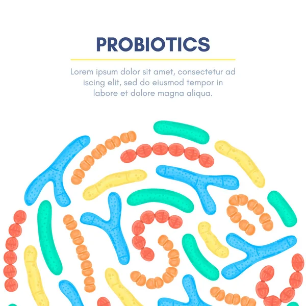 Fondo Vectorial Con Probióticos Forma Semicircular Bifidobacterias Lactobacilos Estreptococos Termófilos — Foto de Stock