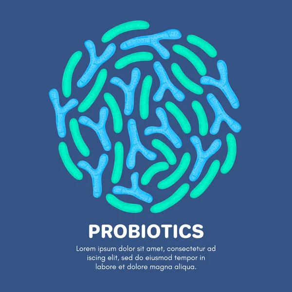 Probiotyki Wektorowe Okrągłym Kształcie Bifidobakterium Lactobacillus Bakterie Kwasu Mlekowego Medycyna — Zdjęcie stockowe
