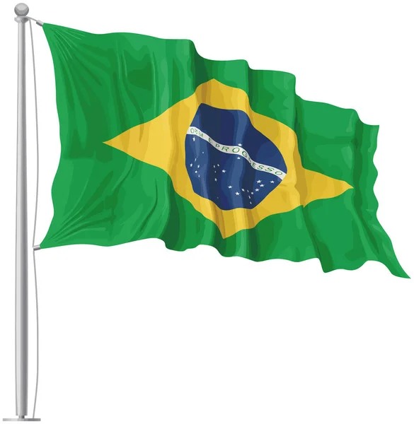 Bandeira Brasil Pólo Acenando Ilustração País Governo Oficial — Fotografia de Stock