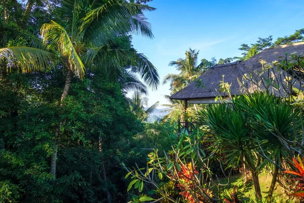 Traditional House Jungle Rain Forest Sidemen Bali Indonesië — Stockfoto