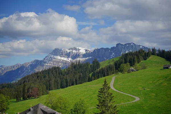 Пейзаж Горы Холмистом Эмментале Швейцарии — стоковое фото